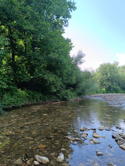 This image depicts a shallow, rocky river flowing through a lush, forested area. The riverbed is clearly visible through the crystal-clear water, revealing a multitude of smooth, rounded stones of varying sizes and colors. The banks of the river are densely overgrown with vibrant green foliage, including trees and smaller plants. The sunlight filters through the leaves, creating dappled patterns on the water's surface. In the distance, more trees line the horizon, suggesting a natural, undeveloped landscape. The sky above is a pale blue, with hints of white clouds. The overall scene conveys a sense of natural tranquility and abundance. There are no people or man-made structures visible in the image.