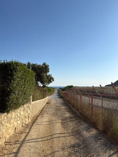 The image depicts a dirt path leading towards the sea under a clear blue sky. On the left, a stone wall topped with dense green foliage separates the path from a rocky area. Further down the path, a chain-link fence with red posts and barbed wire runs along the right side. The path itself shows tire tracks and scattered stones, indicating it is likely a service road or trail. In the distance, the sea is visible, bordered by low green hills. The overall impression is one of a coastal access road. The scene is likely located in or near Skiathos, Greece, given the typical landscape and the presence of similar fencing around airport perimeters. There are no people or animals visible in the image.