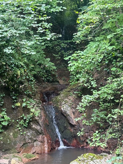 The image shows a waterfall in a forested area. The waterfall is small and cascades down a rocky slope covered in moss and vegetation. The surrounding area is lush and green with trees and plants. The water pools at the bottom of the waterfall and then flows away. There are no people or animals visible in the image. The scene appears to be natural and untouched. This is a natural landscape found in Ubisa, Georgia.