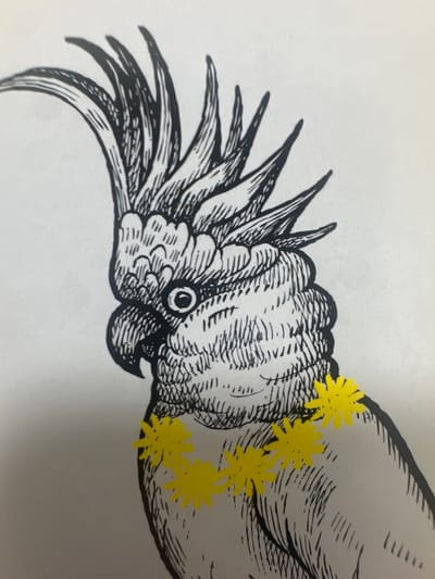 This is a black and white ink drawing of a cockatoo wearing a yellow flower lei. The cockatoo is depicted in profile, facing left. Its crest is raised, and its eye is clearly visible. The drawing is detailed, with fine lines used to create the texture of the feathers and the bird's face. Three yellow, star-shaped flowers are attached to the lei around the bird's neck. The background is plain white. There is no indication of the location in Letterkenny, Ireland.