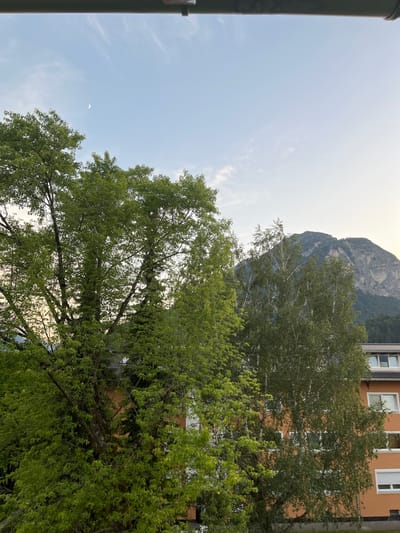 The image captures a view from a building in Garmisch-Partenkirchen, Germany, looking outwards towards a mountain range. In the foreground, lush green trees, some with light-colored bark, dominate the scene, obscuring parts of an orange-colored building with multiple windows. The building appears to be residential or an apartment complex, with white window frames and blinds visible.
Further in the background, a majestic mountain rises, its rocky slopes partially covered by dark green forest. The sky above is a pale blue, with wispy clouds and a crescent moon faintly visible in the upper left quadrant. The overall lighting suggests either early morning or late evening. No people are visible in the frame.