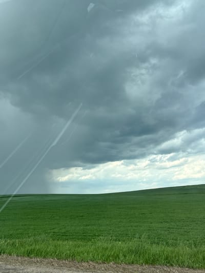 A photograph captures a scene of a large green field under a turbulent sky, likely taken from within a vehicle. The sky is filled with dark, ominous clouds, with a visible area of potential rain or storm. A portion of the photo includes what appears to be the dashboard or interior of a vehicle, suggesting the image was taken from within it. The edge of a harvested or bare ground area borders the green field. Without location specific information, I cannot determine the precise location in Голацкі сельскі Савет, Belarus.