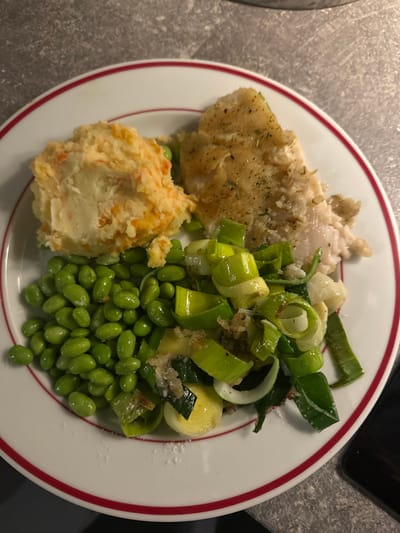 A white circular dinner plate with a red double-line rim is centered, containing a prepared meal. The plate rests on a grey, speckled countertop. On the plate, a mound of mashed potatoes with visible orange flecks is situated in the upper-left quadrant. To the right of the potatoes, a piece of lightly seasoned, cooked white fish is positioned, exhibiting a flaky texture and garnished with green herbs. Below the mashed potatoes, a cluster of vibrant green edamame beans is arranged. Adjacent to the edamame beans and beneath the fish, a serving of sautéed leeks, cut into various segments and rings, is visible, mixed with fine, lighter-colored particles. The scene is located in Tielrode, Belgium.