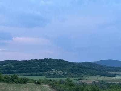 The image depicts a rural landscape near Malka Vereya, Bulgaria, under an overcast sky suggestive of twilight. The upper two-thirds of the frame are occupied by a light blue to grayish-blue sky with diffuse clouds, exhibiting a subtle pinkish tint towards the lower left horizon. The lower third of the image shows a foreground area of light brown and green stubble, interspersed with dark green bushes and smaller trees. In the center-right foreground, a bright orange-yellow object, possibly a birdhouse or marker, is visible on a pole. Beyond the immediate foreground, a strip of vibrant green agricultural fields extends horizontally. The midground is dominated by a large, undulating hill densely covered with dark green deciduous trees, featuring some lighter green patches on its slopes. In the background, additional hills, also forested, recede into the distance, appearing progressively bluer due to atmospheric perspective. No human figures or discernible human activity are present.
