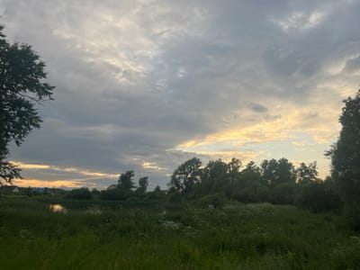 The image depicts a natural landscape scene at dusk, likely in the vicinity of Nikolskoye, Russia. The foreground is dominated by tall green grass and wildflowers, transitioning into a body of water. Beyond the water, a dense line of trees forms the horizon, with some buildings, possibly houses, visible in the far left distance. The sky above is filled with dramatic, striated clouds, with a warm glow of sunlight breaking through on the right side, suggesting either sunrise or sunset. There are no people or animals visible in the image.