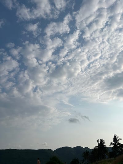 The image presents a wide, scenic view dominated by a dynamic sky and a verdant mountainous landscape. The upper portion of the frame features a vast expanse of sky, filled with numerous scattered, fluffy cumulus clouds. Patches of clear blue sky are visible between the clouds, and there's a gentle haze towards the right side, suggesting bright sunlight diffused by atmospheric conditions.
Along the right edge of the image, dark green, heavily forested mountains rise, forming a prominent silhouette against the brighter sky. Several palm trees are distinctly silhouetted at the top of these mountains, their fronds detailed against the light.
In the bottom right corner, a person is visible, a small figure against the grand scale of the landscape. They appear to be standing or in mid-action, possibly jumping or diving, facing away from the camera. The individual is shirtless, revealing their back and arm.
The scene depicts a natural setting during daytime, with fair weather characterized by scattered clouds. The combination of mountains, tropical vegetation, and the presence of a person engaging in what appears to be recreational activity is consistent with the location context of Nam Natural Heritage Area Trang, Vietnam. No visible text is present in the image.