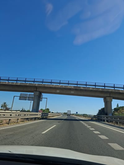 This is a daytime, eye-level, exterior shot taken from a moving vehicle on a highway. The highway has multiple lanes marked with white lines. In the foreground, the hood of a white vehicle is visible. An elevated highway overpass with blue railings runs across the frame, supported by concrete pillars. There are signs on the overpass and a billboard on a concrete pillar on the left. Palm trees and other vegetation are present on the sides of the highway, along with guardrails. A truck and other vehicles are visible on the highway in the distance, under a clear blue sky with some wispy clouds. The scene is set in Almoradí, Spain.