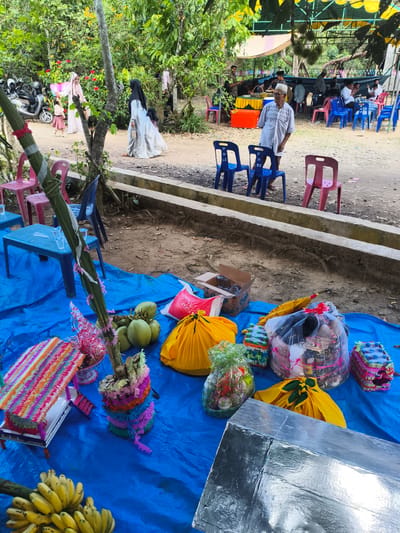 The image depicts an outdoor gathering, likely a celebration, set against a backdrop of lush green trees and foliage, suggesting a rural or semi-rural environment, possibly within the vicinity of Peudari, Indonesia, given the presence of local cultural elements. The foreground is dominated by a large blue tarp spread across the ground, serving as a surface for various items.
Scattered on the tarp are numerous gifts and food items, indicative of a festive occasion. These include several bunches of bananas, a cluster of coconuts, two yellow fabric-wrapped parcels, and several other gift packages, some of which appear to be food items or household goods, presented in clear plastic wrapping and adorned with ribbons. There are also items that resemble traditional decorations, such as a bamboo structure adorned with colorful shredded paper.
In the mid-ground, a row of colorful plastic chairs (pink, blue, and red) are arranged. To the left, a small blue plastic table holds several clear plastic cups. Further back, an elderly man in a white patterned shirt and a white head covering stands facing the viewer. Behind him, a gathering of people are seated at tables under a tent structure, suggesting a meal or communal event is taking place. The tent is supported by poles and draped with yellow and beige fabric.
In the background, more trees and vegetation are visible, with a dirt path winding through the scene. Several motorcycles are parked on the side. Some individuals, including women in traditional attire (hijabs and long dresses), are visible walking in the background, adding to the sense of a community event. The overall impression is one of a lively outdoor celebration in a tropical or subtropical setting.