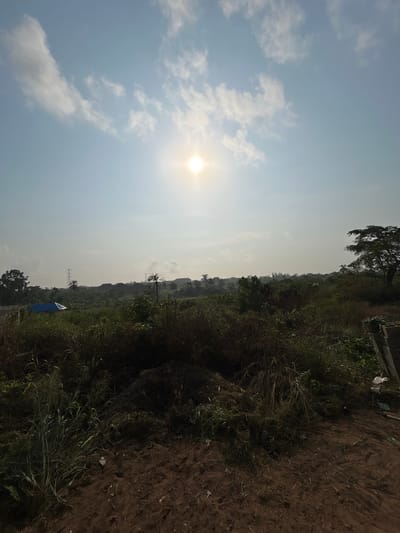 The image displays an expansive outdoor landscape under a bright, hazy sky, consistent with a daytime scene in a rural or semi-urban area identified as Debasco, Nigeria. The sun, a brilliant, overexposed orb with a pronounced flare, is positioned in the upper center, casting a bright, somewhat diffuse light across the scene. Scattered, wispy white clouds are visible against the pale blue sky.
In the immediate foreground, reddish-brown earth or dirt is visible, with patches of green and dry, brown vegetation, including various grasses and weeds, growing sparsely. Towards the right foreground, there is dark, possibly disturbed earth or debris.
The midground is densely covered with uncultivated, wild vegetation, comprising a mix of green shrubs, tall grasses, and some dried, brownish foliage. A mound of darker, rich soil or compost is visible in the lower center midground. On the far left, nestled within this vegetation, is a structure topped with a distinct blue tarp roof.
In the background, the landscape gradually rises, revealing a line of trees and scattered, low-rise structures or buildings. Multiple electricity pylons or utility poles are discernible in the distant left background, extending above the tree line. Several palm trees are interspersed among the other distant vegetation. A large, dark-crowned tree stands prominently on the far right edge of the frame, reaching into the sky. No people or discernible actions are present in the scene.