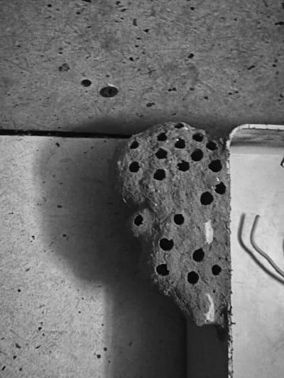 The image, captured in Терновский округ, Ukraine, displays a close-up, black and white view of a mud dauber or potter wasp nest situated in a corner. The nest, constructed from a textured, granular material resembling dried mud or clay, is irregular in shape and adheres to a rough, concrete-like wall on the left and a smoother, vertical panel on the right. It is characterized by numerous circular openings, approximately 1-2 cm in diameter, indicative of individual cell entrances, distributed across its visible surface. The concrete wall surface is marked with small, dark indentations and a few embedded screws or debris. Above the nest, another rough, concrete-like surface extends, separated by a distinct horizontal seam. To the right, the vertical panel is light-colored and appears to be part of a utility fixture or electrical housing, with two curved, lighter-toned wires visible against its internal surface. Shadows cast by the nest and the right-hand panel onto the left wall suggest a light source from the upper right. No animate subjects or active processes are depicted; the scene is static.