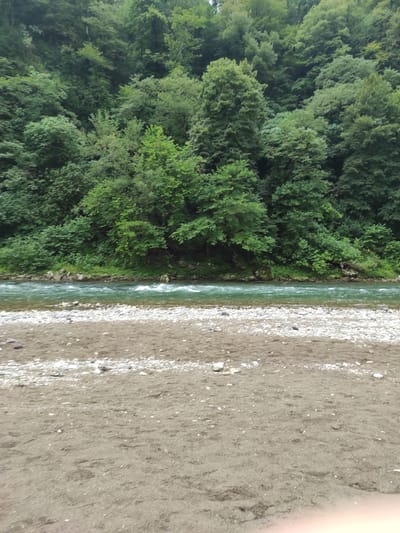 The image depicts a scenic view of a riverbank in Gakhomela, Georgia. A dense forest of green trees covers a hillside that slopes down to a clear, flowing river. The river has a rocky bottom, and the water appears to be moving swiftly, with small waves visible. The foreground of the image shows a sandy beach interspersed with white and grey pebbles. The overall environment is natural and undeveloped.