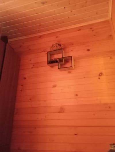 The image shows an interior view of a wooden room with horizontal wooden planks on the walls and ceiling. There are two square shelves mounted on the wall. The left shelf is partially obscured, and the right shelf contains a small decorative item on top, possibly a nest with an ornamental top, and appears to be empty within. The room is dimly lit with an orange-ish hue, suggesting artificial lighting. The overall scene suggests a rustic or cabin-like interior. There are no people or animals visible in the image. The specific location in Alferovo, Russia is not evident from the visual information provided in the image.