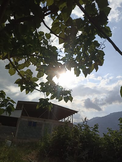 The image depicts a partially constructed building against a backdrop of mountains under a partly cloudy sky. The building appears to be made of cinder blocks with a wooden roof structure. Lush green foliage, including trees and bushes, surrounds the building and fills the foreground. The sun is shining brightly, casting lens flares through the leaves of a tree in the upper left portion of the frame, suggesting it is daytime. The overall impression is one of a rural or semi-rural setting in Kyrgyzstan, possibly in the village of Kosh-Döbö, given the provided location context. The scene conveys a sense of quietude and ongoing development. There is no visible text in the image.