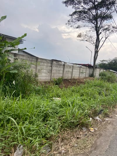 The image shows a concrete wall with a few gaps, overgrown with weeds and grass. There is a dirt road next to the wall. In the background, a tree is visible, and a cloudy sky is in the distance. The location is a street in the city of Kecamatan Margaasih, Indonesia, with the latitude and longitude coordinates of -6.963, 107.538. There are no visible people or animals in the image.