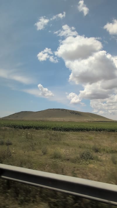 A broad, undulating hill with scattered dark dots, possibly sheep or shrubs, dominates the background of this landscape scene. The hill is positioned above a field of green crops, likely sunflowers, which stretches horizontally across the mid-ground. A few thin, vertical posts are visible in the field, suggesting a fence or boundary. In the foreground, blurred green and brown vegetation is visible, with a silver metal railing running horizontally across the bottom of the frame, indicating the viewpoint is from a moving vehicle. The sky is a bright blue, punctuated by large, fluffy white clouds. The scene depicts a rural, open landscape under a daytime sky.