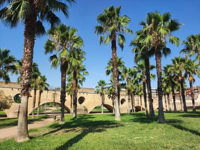 The image shows a sun-drenched park with numerous palm trees and a stone aqueduct in the background. The aqueduct features multiple arched openings, with one large circular opening visible on the left. The park is covered in green grass, and shadows from the palm trees are cast across the lawn. A pathway runs through the park, and a bench is visible near the pathway. The sky is clear and blue. The aqueduct is the Puente de Palmas, located in the city of Badajoz, Spain.