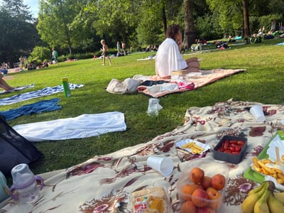 In Telgte, Germany, a sunny afternoon unfolds at a park or recreational area, likely near a body of water given the presence of people in swimwear. The scene is a vibrant picnic, with several groups enjoying the warm weather on blankets spread across a lush green lawn. Trees provide dappled shade, suggesting a pleasant temperature ideal for outdoor activities.

In the foreground, a picnic blanket adorned with a floral pattern displays an array of food and drinks. Visible items include a container of peaches, a box of cherry tomatoes, a serving of French fries with mayonnaise, and a bunch of bananas. A white disposable cup and a plastic container with what appears to be a sandwich are also present. A baby bottle with purple handles sits on the blanket, indicating the presence of young children.

Further back, a woman in a white towel sits on a blanket, looking to her left. Several other individuals are scattered across the lawn, some reclining on towels, others conversing. A young boy in green shorts walks across the grass in the middle ground, while other children are visible in the distance, suggesting a family-friendly atmosphere. The overall mood appears relaxed and joyful, capturing the essence of a summer outing. The sunlight filters through the trees, casting long shadows and highlighting the cheerful gathering.