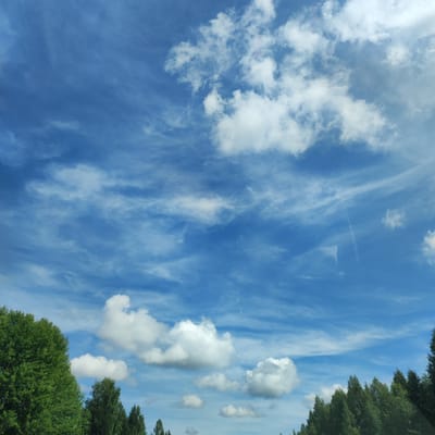 The image shows a bright blue sky with scattered white clouds. Thin, wispy cirrus clouds stretch across the upper portion of the sky, while larger, cumulus clouds are present lower down. A line of green trees forms the bottom edge of the image, with the tallest trees on the left and a more dense, varied line of trees receding to the right. The scene is an outdoor landscape. The image is identified as being located in the city of Ustnovo, Russia. There are no people, animals, or specific actions depicted in the image. The environment is natural, consisting of sky and trees.