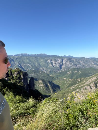 In Kućišta, Montenegro, a man with short, grey hair and sunglasses stands in profile, facing a vast, mountainous landscape. He is wearing a green t-shirt with white lettering visible on his left shoulder. The man is positioned in the foreground, partially obscuring the view of the lush green mountains that stretch into the distance. The mountains are characterized by steep, rocky slopes covered in dense vegetation. A clear, bright blue sky dominates the upper portion of the image. In the immediate foreground, there is abundant green foliage and grass, with a few small yellow wildflowers interspersed. The overall impression is one of a scenic overlook in a rugged, natural environment.