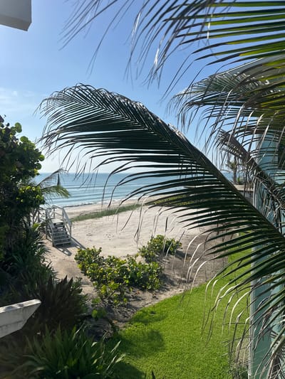 A bright, sunny day is captured from a high-angle perspective, looking down towards a beach. The foreground is dominated by the fronds of a palm tree, its long, thin leaves casting shadows. Beyond the palm fronds, a sandy path leads to the beach, bordered by vibrant green grass on the right. A white wooden staircase with several steps is visible on the sandy path, providing access to the beach. The beach itself is light-colored sand, meeting the gentle waves of a calm, light blue ocean. In the distance, faint outlines of palm trees are visible against the horizon. The sky is a clear, cloudless blue. The scene evokes a sense of tranquility and a tropical vacation. There is no visible text in the image. The location context is Melbourne Beach, United States.