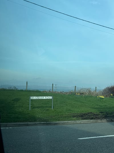 The image depicts a roadside scene on Bradshaw Road in Bury, United Kingdom. In the foreground, a grey asphalt road with a partial white dashed line on the right is visible, bordered by a concrete curb. Behind the curb, a green grassy slope rises, featuring a white rectangular street sign with black lettering that reads "BRADSHAW ROAD," mounted on two grey posts. Scattered white florets are visible in the grass near the sign, and yellow daffodils are present on the right side of the slope. A wire fence supported by wooden posts runs horizontally along the top of the slope, with tangled brown branches and undergrowth visible behind it. The background consists of a clear, light blue sky with minimal cloud cover. A thin dark line, consistent with an overhead wire, extends horizontally across the upper portion of the sky. No people, vehicles, or active interactions are present in the frame. A faint reflection of an interior element is visible in the upper left of the sky.