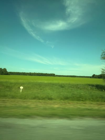 An outdoor, side-view, medium-shot photograph captures a rural landscape under a bright blue sky with wispy clouds. The image is slightly motion-blurred, suggesting it was taken from a moving vehicle. In the foreground, a blurred green field occupies the lower portion of the frame, with a horizontal, out-of-focus strip of grey in the very bottom which could be a road. In the middle ground, a vast, vibrant green field stretches horizontally across the image, dotted with some white wildflowers. A small, rectangular white signpost with a yellow top stands in the field. A dense line of dark green trees forms a distant horizon behind the field, separating it from the sky. The sky itself is a clear, bright blue, with scattered, feathery white clouds, particularly towards the upper left and right quadrants. The overall impression is one of a serene, expansive countryside scene. The location is identified as Bezmenovo, Russia, a rural area characterized by open fields and forested horizons.