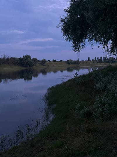 The image depicts a tranquil scene at twilight along a body of water, likely a canal or river, with its banks lined by lush vegetation and trees. The sky, a soft shade of blue with wispy clouds, is reflected in the calm water, creating a mirror image of the trees and the distant, elongated landscape. On one side of the water, a path or road is visible, bordered by a grassy embankment dotted with bushes and trees. The other bank is heavily overgrown with dense foliage and tall trees, casting long shadows that stretch across the water.

The time of day is clearly evening, indicated by the subdued light and the purplish hues in the sky and water. The weather appears calm, with the water's stillness suggesting little to no wind. The location, Coșnița, Moldova, places this serene natural setting within a rural or semi-rural environment. There are no people or specific objects in focus, emphasizing the natural beauty of the landscape. The overall mood is peaceful and contemplative, inviting viewers to appreciate the quietude of nature as day transitions into night. No text is visible in the image.