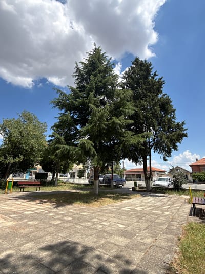 This is a full outdoor, ground-level, eye-level, medium shot of a public park area in the city of Vinarsko, Bulgaria, on a sunny day. In the foreground, there is a paved area with square concrete tiles, with some grass growing between the tiles and around the edges. In the middle ground, there are several large evergreen trees, some with their branches extending over the paved area. A red park bench with black metal legs is situated on the left side of the frame. Behind the trees, there are buildings and two cars parked on a street. The sky above is blue with scattered white clouds.
