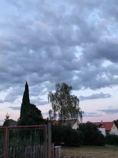 An outdoor, eye-level, vertical, medium shot captures a suburban scene in Dobev, Czechia, during a cloudy twilight. The sky is dominated by a thick blanket of dark gray and light blue clouds, with hints of pink in the horizon. In the foreground, a rustic, wooden fence with metal mesh inserts runs horizontally across the bottom of the frame, separating the viewer from a dense patch of green vegetation. Behind the fence, a tall, dark green, conical tree stands prominently on the left, with a feathery, lighter green birch tree to its right. Further back, the roofs of several houses with red tiles are visible, nestled amongst lush green trees. The overall atmosphere is calm and serene, with no people or animals present in the scene.