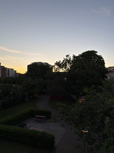 The image shows an outdoor scene at dusk, likely in a residential area of Helsingborg, Sweden. The sky is a pale gradient of blue and yellow, indicating the sun has recently set. In the background, several multi-story apartment buildings are visible, some with their windows lit. Large, mature trees dominate the mid-ground, their dense foliage casting deep shadows. A paved area with a picnic table and a barbecue grill is situated in the foreground, surrounded by neatly trimmed hedges. A street or pathway curves through the scene. The overall impression is of a tranquil urban park or courtyard.