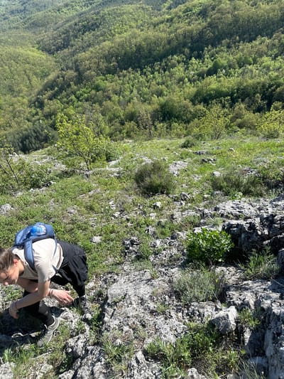 A person stands on a rocky, grassy slope in a natural setting. The person, wearing a light-colored shirt, black pants, and hiking shoes, has a blue backpack. The surrounding environment consists of trees and a forest below. The location is possibly near Bilka, Bulgaria, but there is no explicit confirmation of this location from the image.