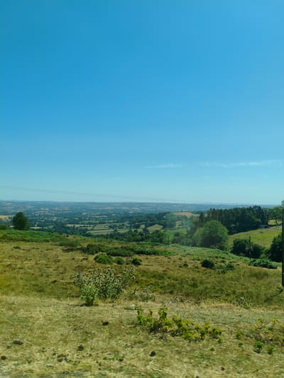 An expansive, clear blue sky dominates the upper half of the image, stretching over a rolling landscape of rolling hills and fields in Cleehill, United Kingdom. The foreground consists of dry, yellowed grass with scattered patches of green vegetation and some dark soil clumps. Further back, a patch of green thorny plants with small purple flowers stands out. The mid-ground features more varied terrain, with patches of green fields, dense clusters of trees, and the darker green of cultivated land. In the far distance, a hazy horizon is visible, with a faint line of hills or mountains. Power lines are strung across the sky in the mid-upper section of the image. The overall impression is a sunny, rural landscape. There are no people or animals visible.