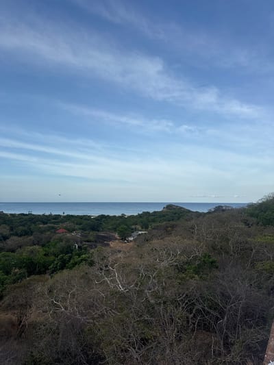 The image depicts a wide-angle view of a coastal landscape in Shastrawela, Sri Lanka. In the foreground, a dense cluster of trees, many of which are bare-branched, dominates the lower portion of the frame. Beyond this, a lush green forest stretches towards the ocean. Several structures with red roofs are visible within the forest, suggesting the presence of human habitation or a resort. The middle ground features the expanse of the ocean, meeting the horizon under a pale blue sky streaked with wispy white clouds. A small dark object, possibly a bird or a drone, is visible in flight over the ocean. The overall scene conveys a sense of natural beauty and tranquility.