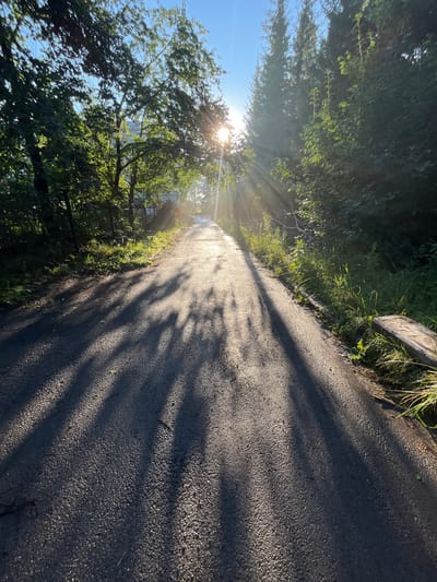 The image depicts a paved road in Karagaiskii, Russia, bathed in the warm, golden light of the sun filtering through lush green trees on either side. Sunbeams pierce through the foliage, casting long, dramatic shadows across the asphalt surface. The road appears to be a rural or suburban thoroughfare, bordered by dense vegetation and some sparse grassy areas. In the distance, the road seems to curve slightly, leading into the sunlit haze. The overall impression is one of a tranquil, natural setting on a bright, clear day.