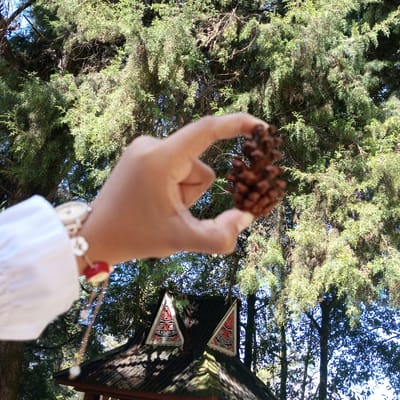 In Gundaling 2, Indonesia, a person's hand, adorned with a white watch and red bracelet, holds a pine cone against a backdrop of lush green trees and a clear blue sky. A section of a dark, corrugated roof with triangular decorative elements in red, black, and white is visible below the trees. The image captures a moment outdoors, likely in a natural setting, with a focus on the texture and detail of the pine cone and the surrounding foliage.