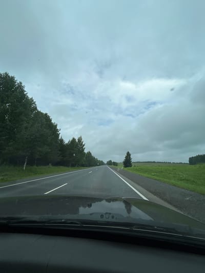 This is a first-person perspective, point-of-view shot from a vehicle driving on a wet, paved road in Krivelevo, Russia. The road stretches into the distance, with white dashed lines marking the lanes. On the left side of the road, a dense line of dark green trees borders the highway. On the right side, a bright green grassy field extends towards a treeline on the horizon. The sky is overcast with heavy, gray clouds, and there appears to be a small bird flying high in the sky. The foreground of the image shows the dashboard and windshield wipers of the vehicle, with reflections visible on the wet windshield.