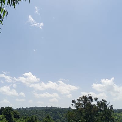 The image captures a landscape in Ihururu, Kenya, featuring a sky filled with scattered white clouds. The horizon is lined with a dense forest, punctuated by the silhouettes of trees. A tree with a thick canopy is positioned in the lower right of the frame, while foliage hangs in the upper left.