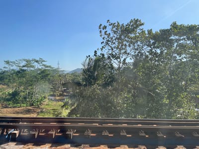 In Pekuncen, Indonesia, the image captures a view from a train, showcasing the landscape along the railway tracks. The foreground is dominated by the train tracks themselves, appearing dark and metallic, with visible ties and fasteners. Beyond the tracks, the scene unfolds into a lush, rural environment under a clear blue sky.
The middle ground features terraced fields, some of which appear to be cultivated or recently plowed, with patches of water visible in some areas, suggesting they might be rice paddies or irrigation channels. Scattered throughout this area are various types of vegetation, including trees with dense foliage, tall thin trees that could be bamboo or saplings, and plants with broad leaves, indicative of tropical flora. A small, rustic building with a dark roof is partially visible amidst the greenery.
In the background, a communication tower with a metallic structure rises above the trees, a sign of modern infrastructure within the rural setting. Further in the distance, rolling hills and mountains are silhouetted against the sky, their forms softened by the atmospheric haze. The overall impression is a serene, natural landscape, interrupted by the presence of the railway and a distant tower, typical of the Indonesian countryside. The lighting suggests it is daytime, with the sun casting distinct shadows on the train tracks and illuminating the foliage. There are no people visible in the image.