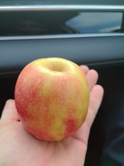 An over-the-shoulder medium shot captures a person's hand holding a red and yellow apple. The background consists of a blurred black car interior with a reflective surface above. The scene appears to be indoors, possibly inside a vehicle. The image does not provide any information to determine the location in Timiryazevsky, Russia.