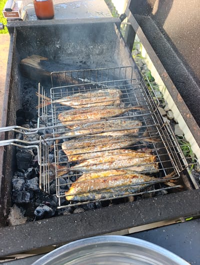 The image shows a close-up of a barbecue grill in an outdoor setting, likely Russia given the location context. The grill is filled with burning charcoal, and a wire rack holds several whole fish being grilled. The fish appear to be small, silvery species, and they are arranged in multiple rows on the rack, with some showing signs of being cooked and browned. Smoke is rising from the grill, indicating the cooking process is active.
In the background, to the left of the grill, a pack of "CHAPMAN" cigarettes is visible, along with a brown glass bottle. The overall scene suggests a casual outdoor meal or gathering. The lighting indicates it is daytime, likely late afternoon or early evening due to the warm, golden light. The setting appears to be a backyard or a similar outdoor space, with hints of greenery and stones visible beyond the grill. The focus is solely on the food and the grilling process, creating a sense of appetizing readiness. There are no people visible in the image.