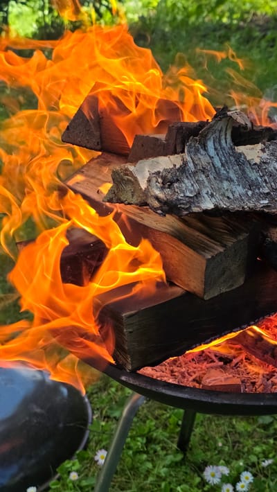 A close-up, vertical shot captures a campfire with logs burning intensely amidst bright orange flames. The fire is contained within a black metal brazier, which sits on a grassy area dotted with small white daisies. In the background, blurred green foliage suggests a natural outdoor setting. The scene is devoid of people or animals, focusing solely on the elemental power of the fire and the surrounding environment. The overall impression is one of a tranquil, natural setting enhanced by the warmth and dynamism of the bonfire.