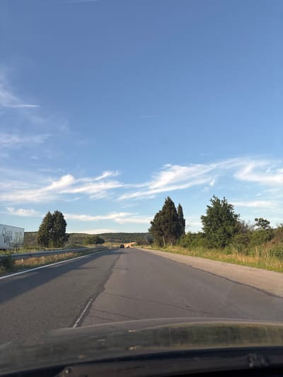 The image shows a view from a vehicle traveling on a paved road in Kipra, Bulgaria. The road stretches into the distance, with a slight curve to the right. On the left side of the road, a white guardrail separates the road from a grassy embankment and a billboard. Two cypress trees are prominent on the left, with a broader, leafy tree further down the embankment. The right side of the road is bordered by dense green vegetation and dry grass. In the distance, a small tunnel or underpass can be seen crossing the road, with vehicles approaching it. The sky is a clear blue with wispy white clouds, and two faint contrails are visible. The lower portion of the image shows the dashboard of the vehicle from which the photo was taken. The overall scene depicts a rural highway on a sunny day.