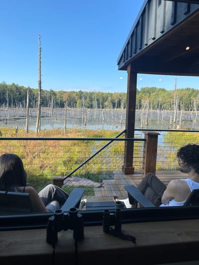 The image displays a panoramic view of a wetland ecosystem observed from a raised wooden deck structure in Otego, United States. The upper third of the frame shows a clear, light blue sky. Below this, a distant forest with green and some autumnal-colored foliage borders a large body of water. This water is densely populated with numerous light-colored, bare, dead tree trunks (snags) protruding vertically. The immediate foreground features a dark wooden deck with a multi-strand horizontal cable railing system and a dark structural column. Two individuals are seated in dark outdoor chairs on this deck, oriented towards the wetland. The person on the left has long dark hair, wears a dark top and light trousers, and has their legs crossed. The person on the right has dark curly hair, wears a white tank top and dark trousers. Both are positioned with their backs partially or fully to the viewer, appearing to observe the scene. On a dark wooden ledge in the closest foreground, two pairs of black binoculars are present.