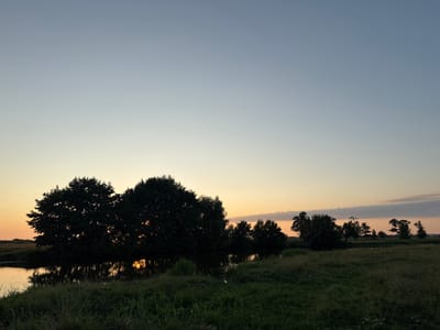 The image depicts a tranquil natural landscape at dusk, likely in or near Boriskino, Russia, as suggested by the provided information. The sky transitions from a pale blue at the top to soft hues of yellow and orange near the horizon, indicating the setting sun. A body of water, possibly a river or a lake, occupies the lower left portion of the frame, its surface reflecting the warm tones of the sky and the dark silhouettes of trees.
Dominating the left and center of the image are several large trees, their dense foliage creating a striking silhouette against the twilight sky. The branches and leaves are rendered in deep shadow, with occasional glimpses of the setting sun filtering through. The water reflects the trees, creating a mirrored effect that adds depth to the scene.
To the right of the water and trees, a grassy field stretches into the distance. The grass is rendered in muted greens and browns, with hints of wildflowers visible. The horizon is lined with more scattered trees and a low-lying landform, all silhouetted against the fading light. A few wispy clouds are visible in the sky, tinged with the colors of sunset.
The overall impression is one of peace and natural beauty, capturing the serene atmosphere of a rural landscape at the end of the day. There are no people or animals visible in the image, emphasizing the solitude of the scene. The lighting conditions suggest it is either sunrise or sunset, with the warm, diffused light creating a soft and atmospheric quality.