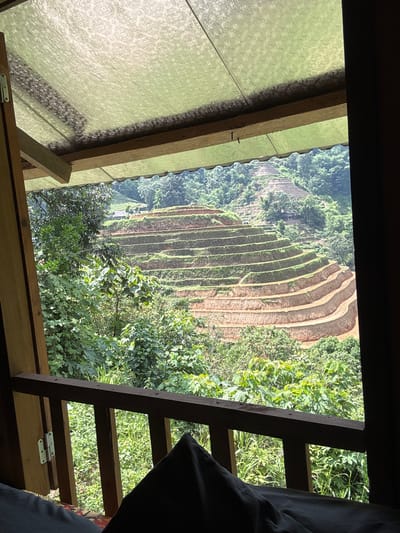 A landscape of terraced rice paddies viewed from an elevated structure, possibly a building or platform, located in the Hoàng Su Phì Commune, Vietnam. The rice paddies form a series of stepped platforms, contoured along the hillsides. The paddies are interspersed with patches of trees and vegetation. The view is framed by the wooden structure, which includes a roof on the left and a ladder-like element on the right, partially obscured by a dark object. The sky is not visible.