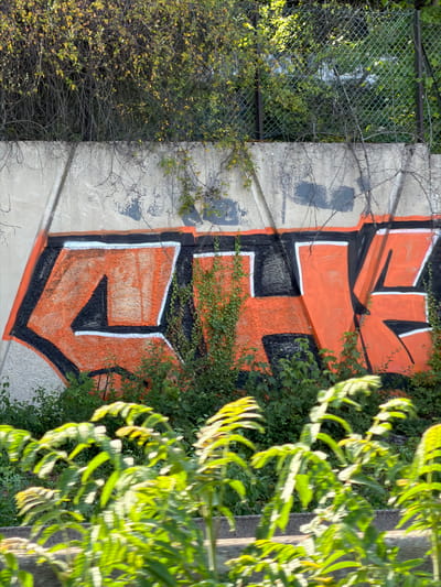 The image captures a concrete wall adorned with vibrant orange graffiti. The graffiti features large, stylized lettering outlined in black and white, with some dark gray spray paint elements on the wall above. Overgrown vegetation, including leafy branches and vines, partially conceals the wall and the graffiti from view, especially at the bottom and sides. In the background, a chain-link fence is visible, further obscured by more foliage. The scene suggests an urban or semi-urban setting, possibly an underpass or a retaining wall. This specific location is identified as being in Thiais, France. No people are present in the image.