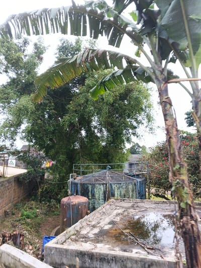 This image depicts an outdoor scene in Kabiufa, Papua New Guinea, under an overcast sky. The immediate foreground features a section of a grey concrete surface, possibly a rooftop, exhibiting standing water and reflections, with a thin white cable running horizontally across it. To the right, the lower trunk and large, tattered leaves of a banana plant partially obscure the view.
In the midground, two weathered metal tanks are prominent. The larger tank, approximately 3-4 meters in diameter, is cylindrical and displays significant discoloration with patches of blue-green paint, rust, and grime. It features a metal railing and visible blue piping on its upper perimeter. Positioned in front and slightly to the left of the larger tank is a smaller, approximately 2-meter tall, rusted brown cylindrical tank, also with remnants of blue paint. Both tanks appear to be in a state of disrepair.
A reddish-brown brick wall runs along the left side of the frame, bordering an area of dense, overgrown green vegetation and scattered debris. In the background, large trees with lush green foliage dominate the upper left and central portions of the scene. To the right of the tanks, a bush with clusters of small red flowers is visible. Further in the distance, partially obscured structures include a light-colored building with a dark roof and hints of colorful fabric on a line or fence towards the far left. No human subjects are present within the frame.