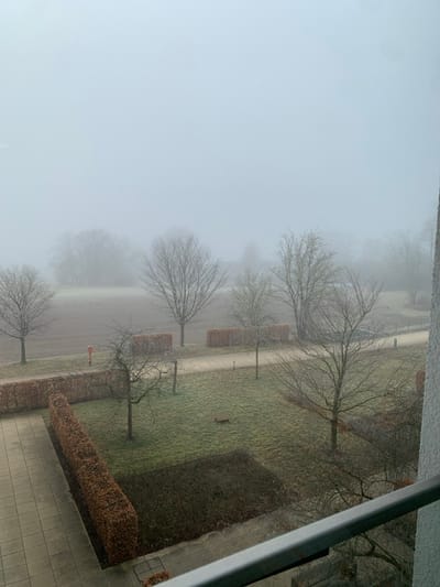 The image depicts an outdoor scene in Nürtingen, Germany, on a foggy day with significantly reduced visibility. The foreground, from an elevated perspective, shows a silver-colored metal balcony railing on the right, partially obscuring a light-colored, tiled patio area to the lower left.

The midground features a landscaped area comprising multiple manicured hedges with reddish-brown foliage, arranged in rectangular sections. Several bare deciduous trees are scattered across green and brown grassy patches. A light-colored pathway traverses the scene, winding between hedges and trees. A red fire hydrant stands upright on the left side of the pathway. In the central-right grassy area, a reddish-brown fox is observed lying prone.

The background transitions into an open, dark brown field, presumably tilled earth. Further in the distance, additional bare trees and faint, indistinct outlines of structures are visible, heavily obscured by the thick fog. No people or human activity are apparent in the scene. The overall environment suggests a late autumn or winter setting due to the lack of foliage on deciduous trees and the muted light conditions.