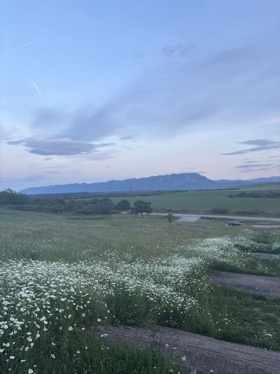 The image depicts a landscape with a mountain range in the distance, partially obscured by a cloudy sky. A field of small white flowers is in the foreground, alongside a concrete structure, likely a retaining wall or embankment. A road runs through the middle ground with a single vehicle parked on it. The scene is consistent with a rural environment in Krivodol, Bulgaria.
