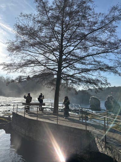 The scene depicts an outdoor viewing area at the Rhine Falls in Neuhausen am Rheinfall, Switzerland, under clear skies with direct sunlight. A large, bare deciduous tree with extensive branching stands centrally in the mid-ground. Three individuals are present on a paved stone platform equipped with dark metal railings, positioned to overlook the turbulent waters of the Rhine River. To the left, a person wearing a dark jacket and hat, carrying a backpack, faces away from the camera with both hands raised in a 'peace' gesture towards the waterfall. Adjacent to them, a second individual in similar attire also faces away, holding an object, likely a camera or phone, up as if capturing an image or video. To the right, a third person, wearing a long dark coat with a fur-lined hood, stands facing towards the left, appearing to hold a bag. In the background, the Rhine Falls generate a visible mist above the rapidly flowing water. Several large rock formations are present within the river, with one prominent peak to the far right displaying a small structure and a red flag with a white cross (Swiss flag) on its summit. A large building, identified as Schloss Laufen, is partially visible on a distant bluff above the falls through the mist and trees. Strong lens flare is evident in the lower right portion of the image.